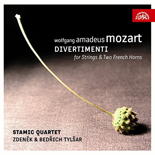 Divertimenti for Strings and Two French Horns