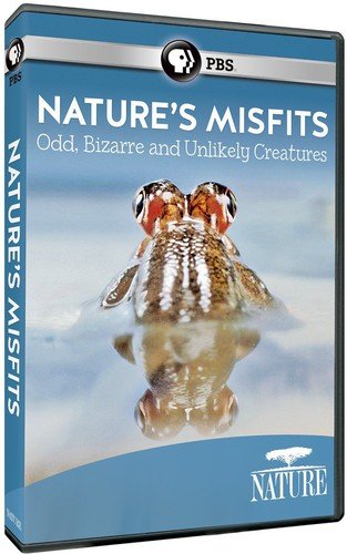 ANIMAL MISFITS