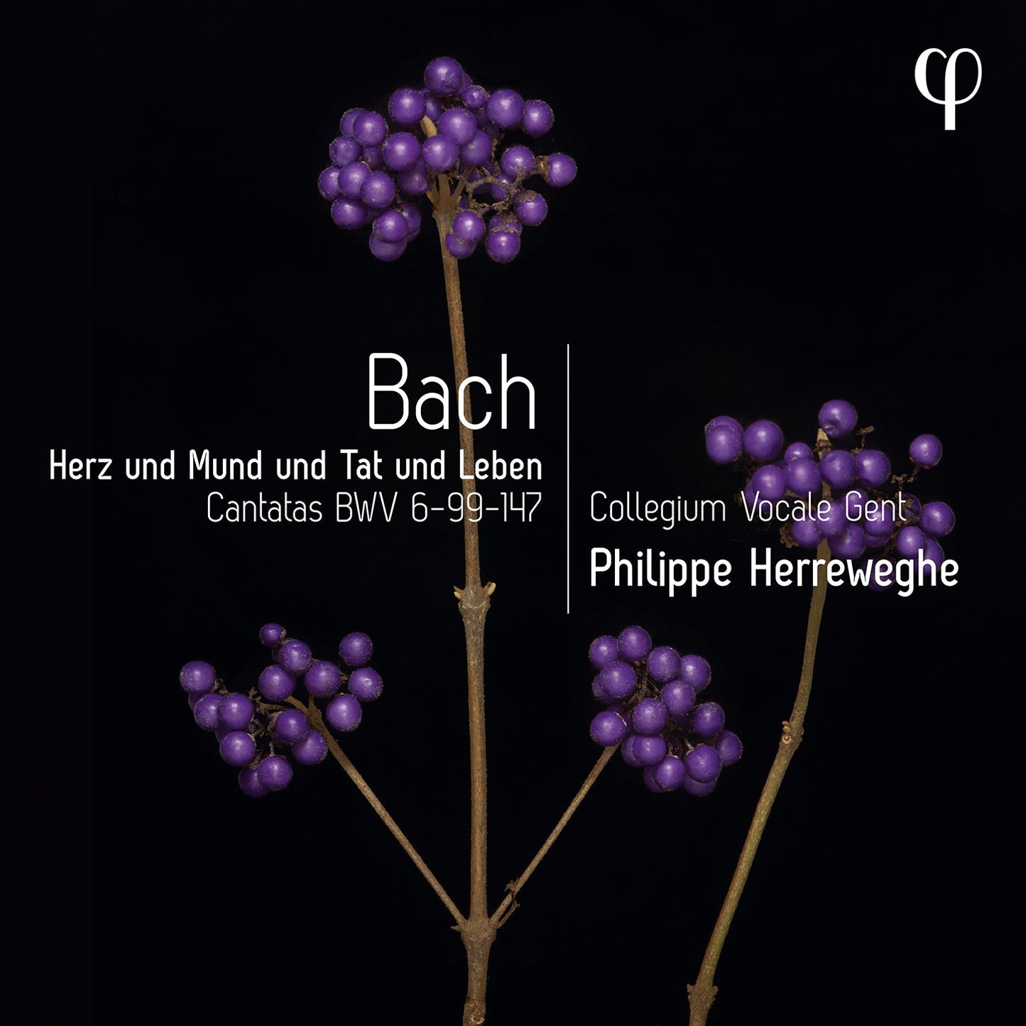 J.S. Bach: Cantatas, BMV 6-99-147 / Collegium Vocale Gent
