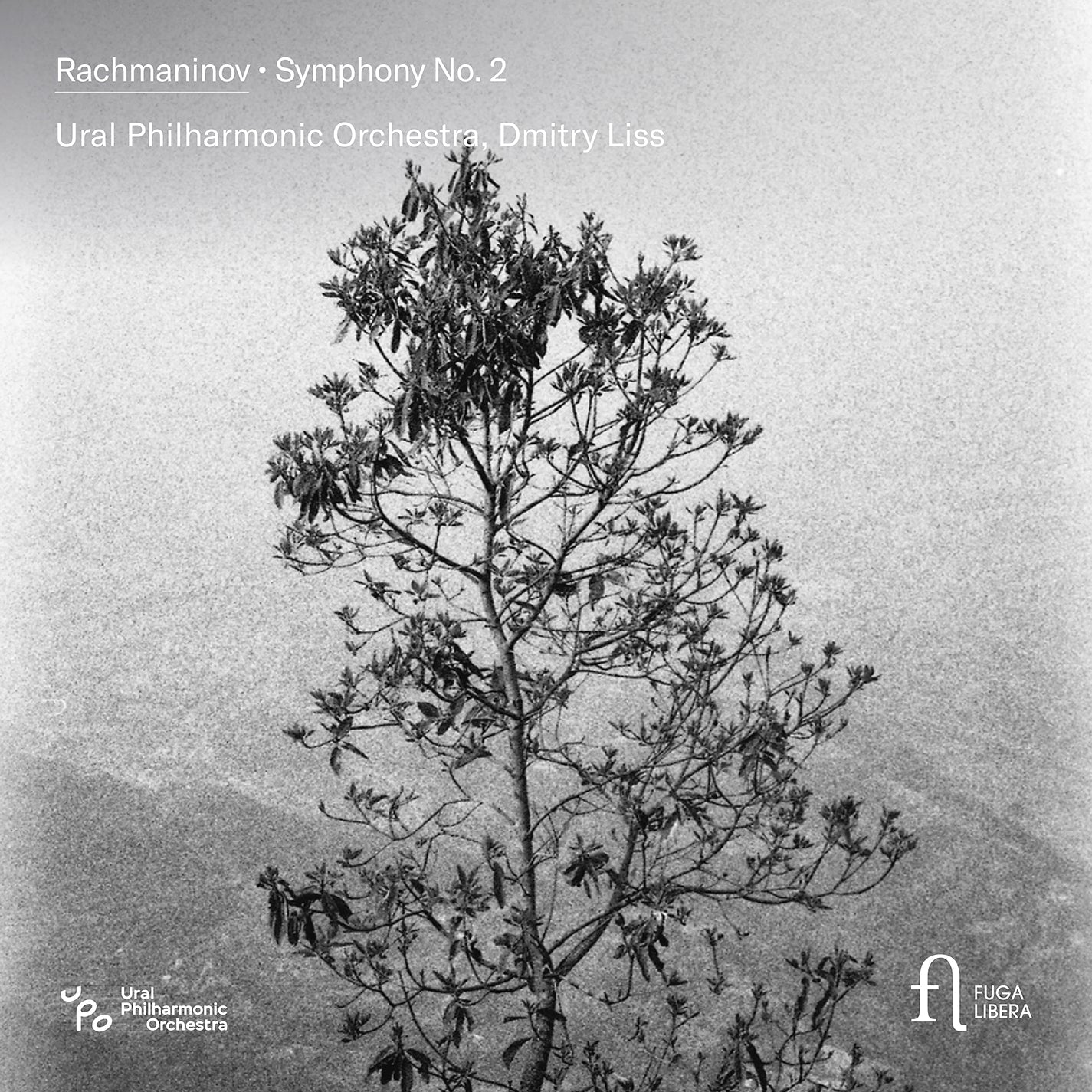 Rachmaninoff: Symphony No. 2