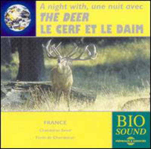 NIGHT WITH THE DEER