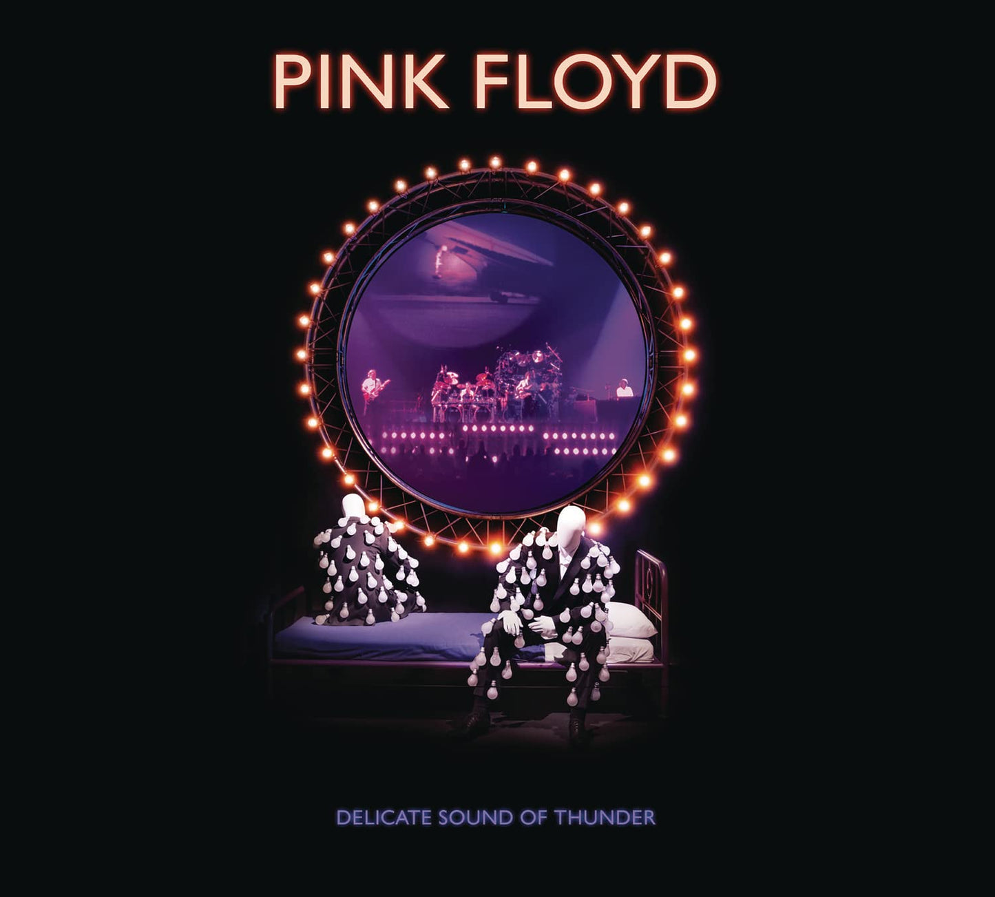 DELICATE SOUND OF THUNDER