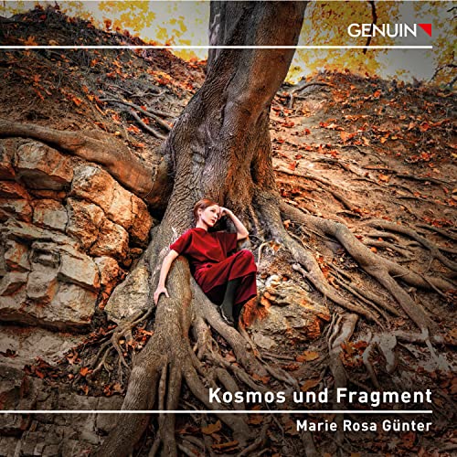 Kallmeyer, Webern & Beethoven: Kosmos Und Fragment