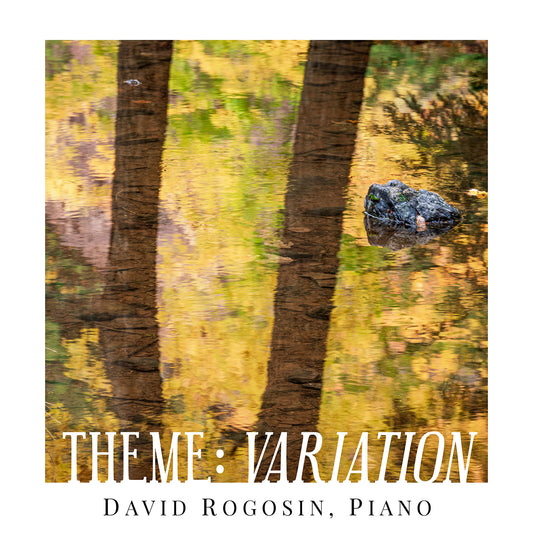 Theme - Variation  David Rogosin