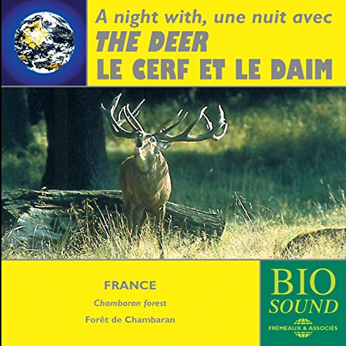 NIGHT WITH THE DEER