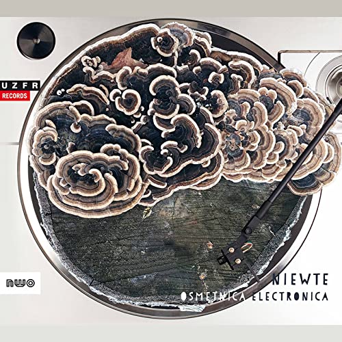 Niewte: Osmetnica Electronica