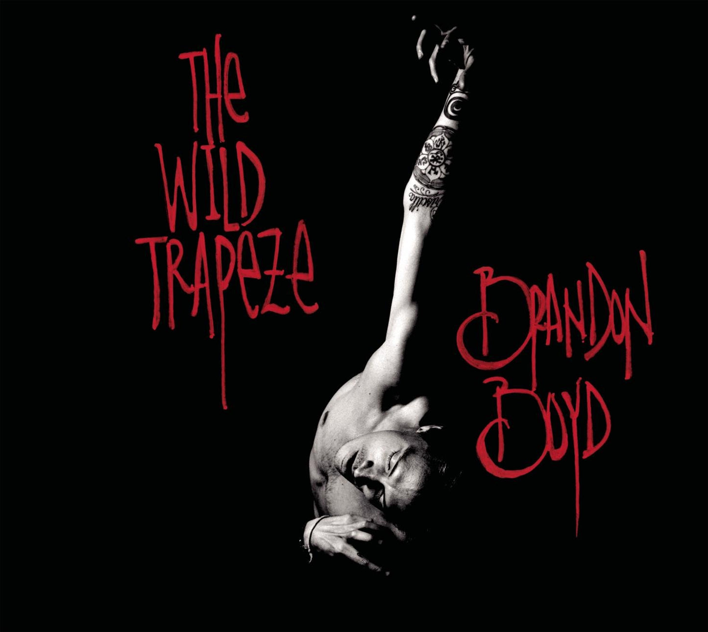 THE WILD TRAPEZE