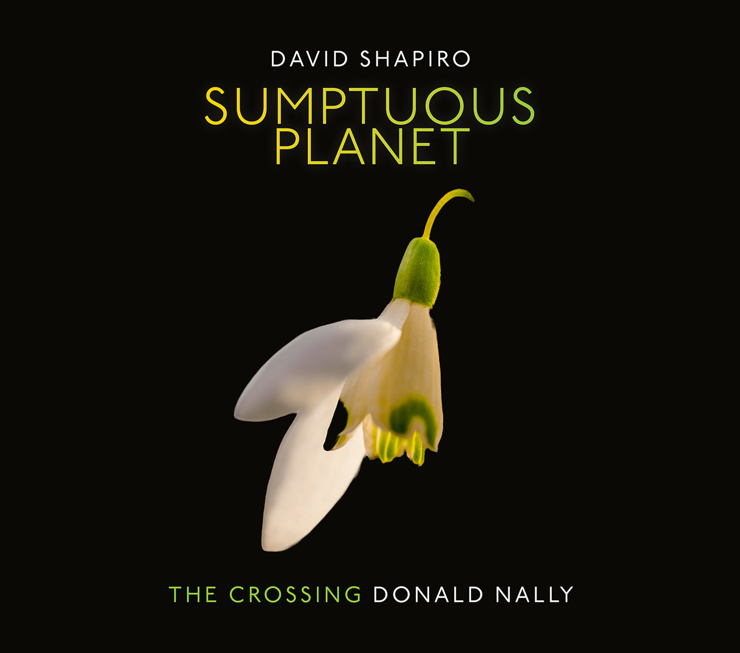 Shapiro: Sumptuous Planet  The Crossing