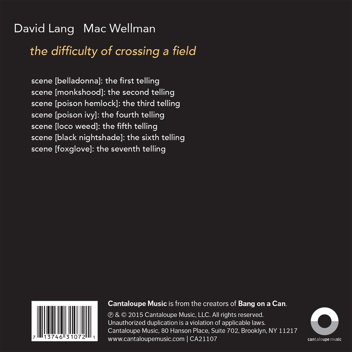 David Lang: The Difficulty of Crossing a Field