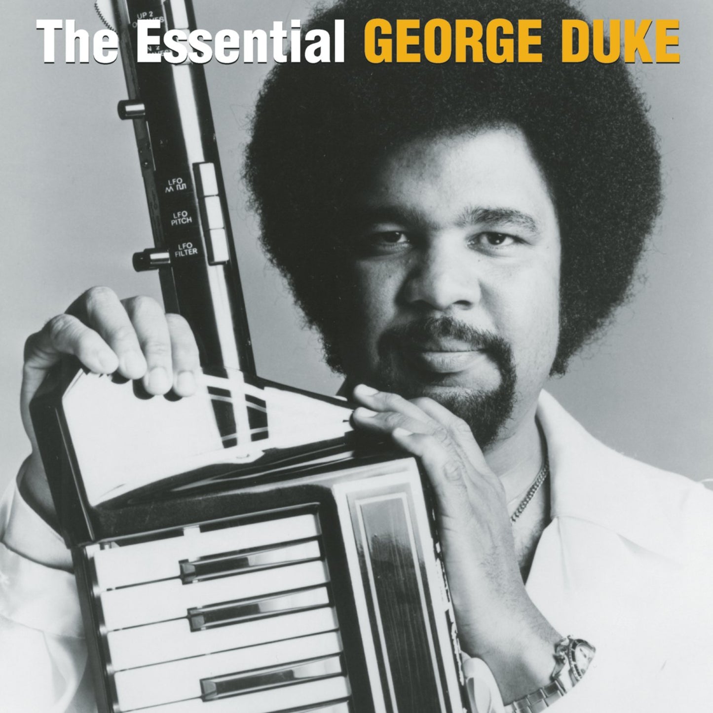 THE ESSENTIAL GEORGE