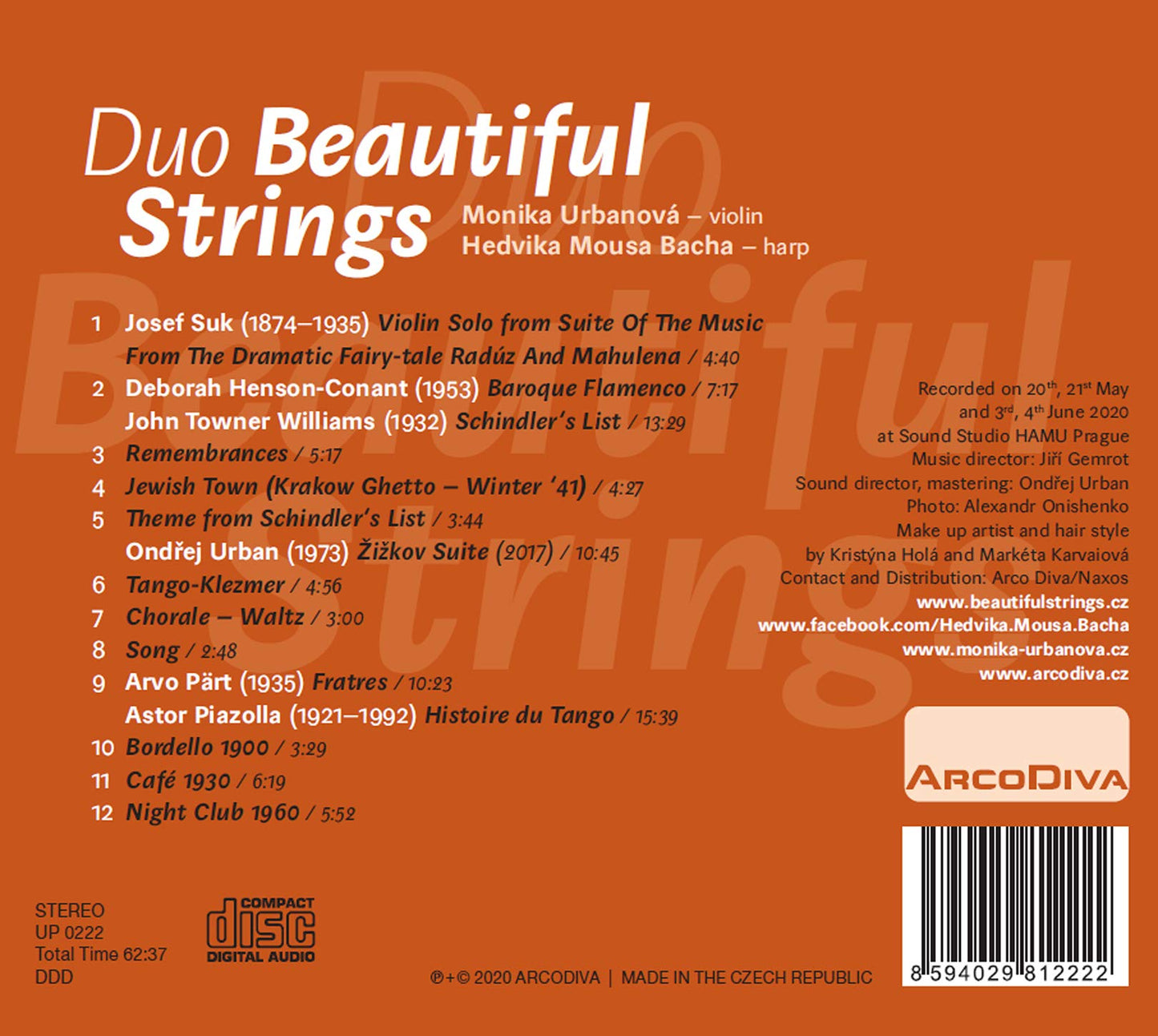 Duo Beautiful Strings