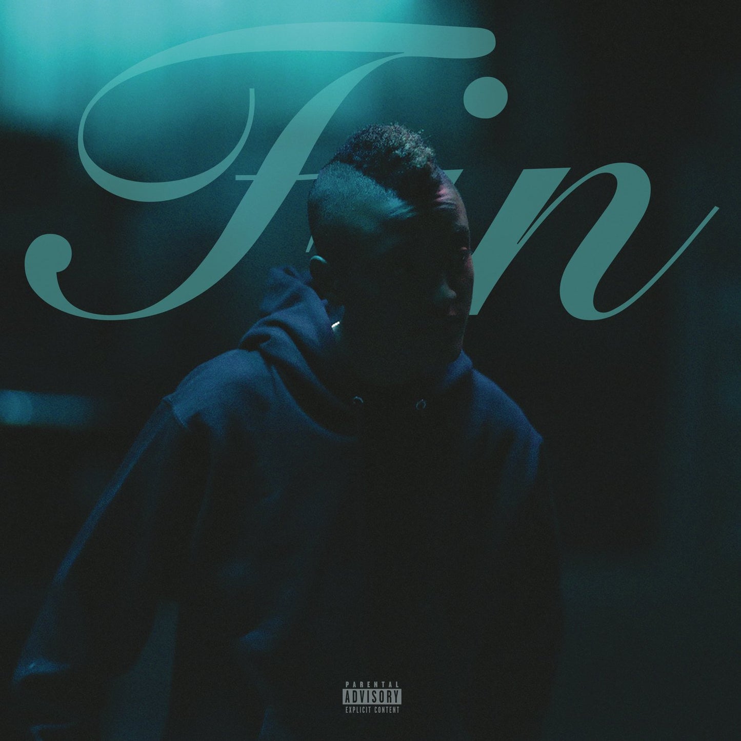 FIN (VINYL)