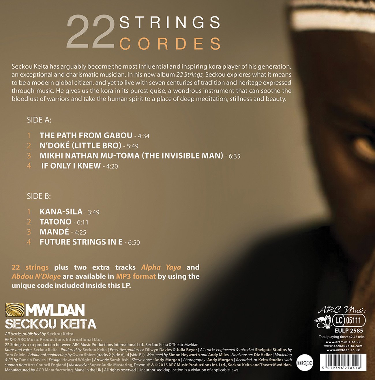 22 STRINGS (VINYL)