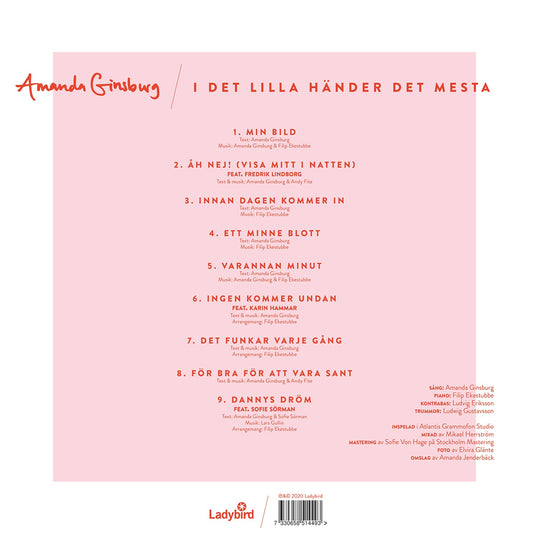 I DET LILLA HANDER DET MESTA