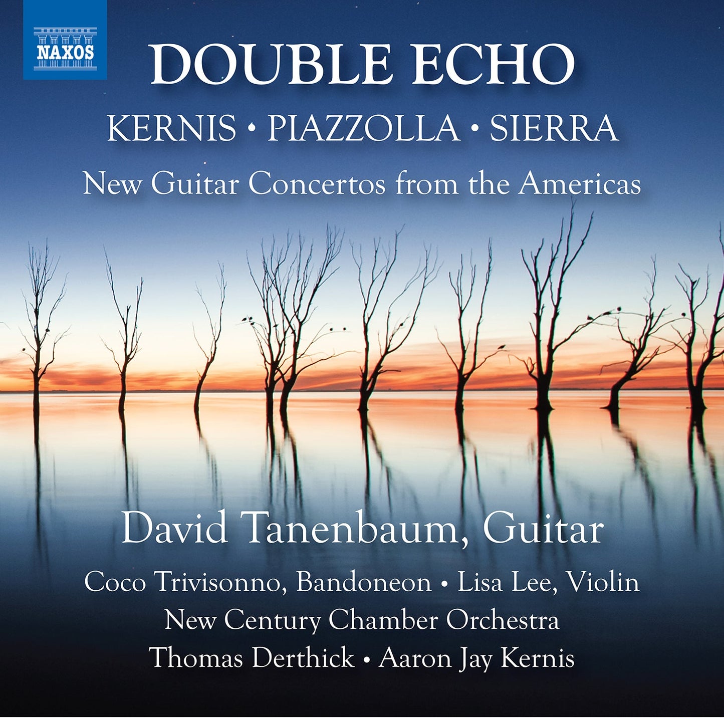 Double Echo - New Guitar Concertos From The Americas