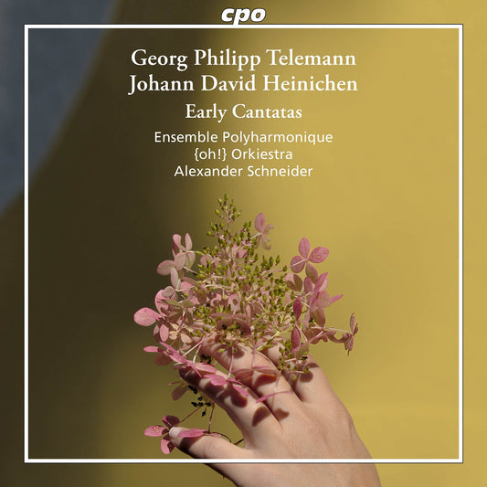 Heinichen & Telemann: Early Cantatas  Ensemble Polyharmonique, {Oh!} Orkiestra