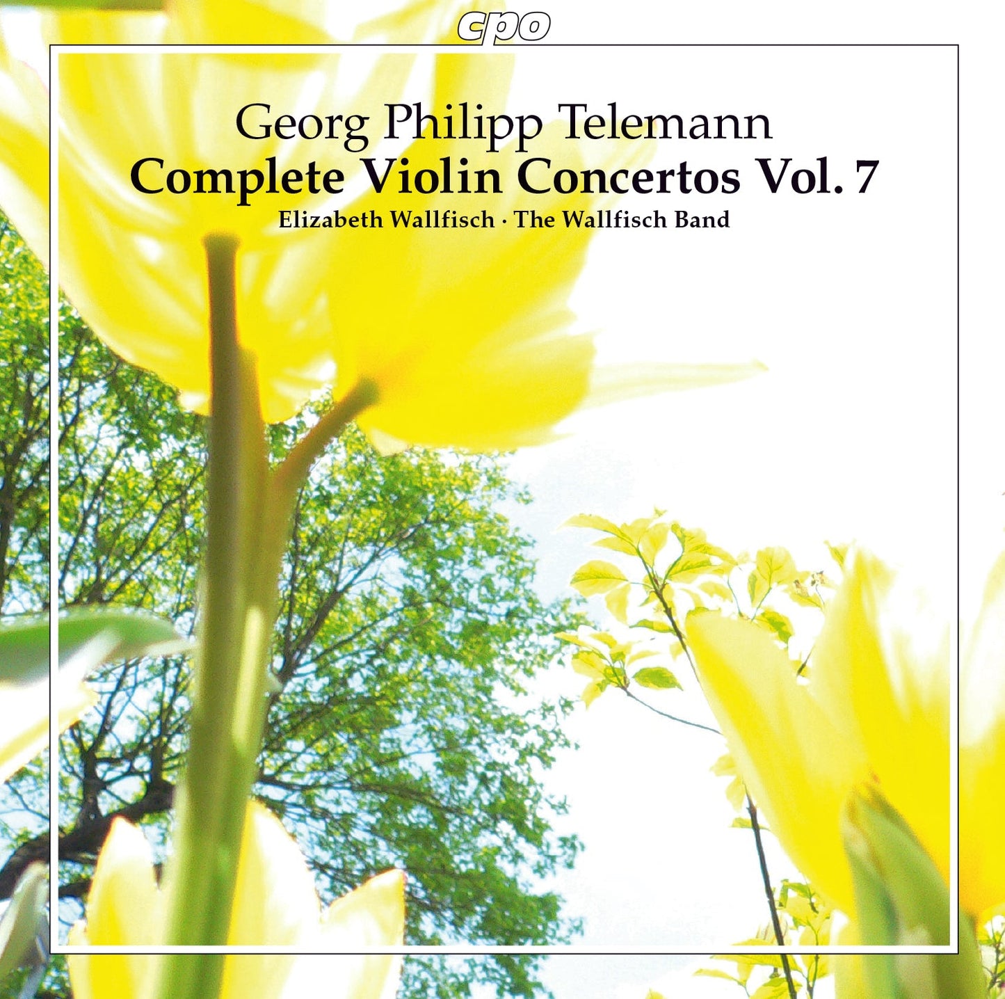 V7: COMPLETE VIOLIN CONCERTOS