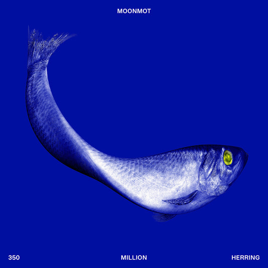 Bryne: 350 Million Herring  Moonmot