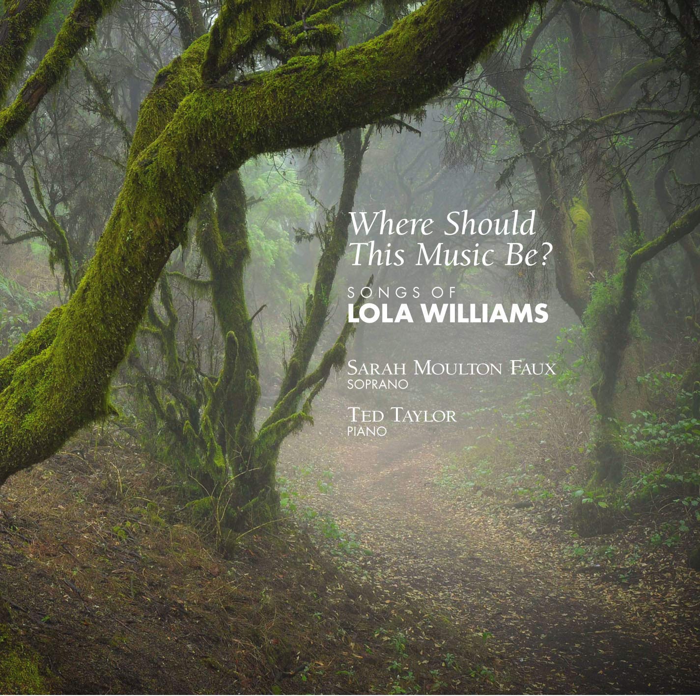 Where Should This Music Be?: Songs of Lola Williams / Faux, Taylor