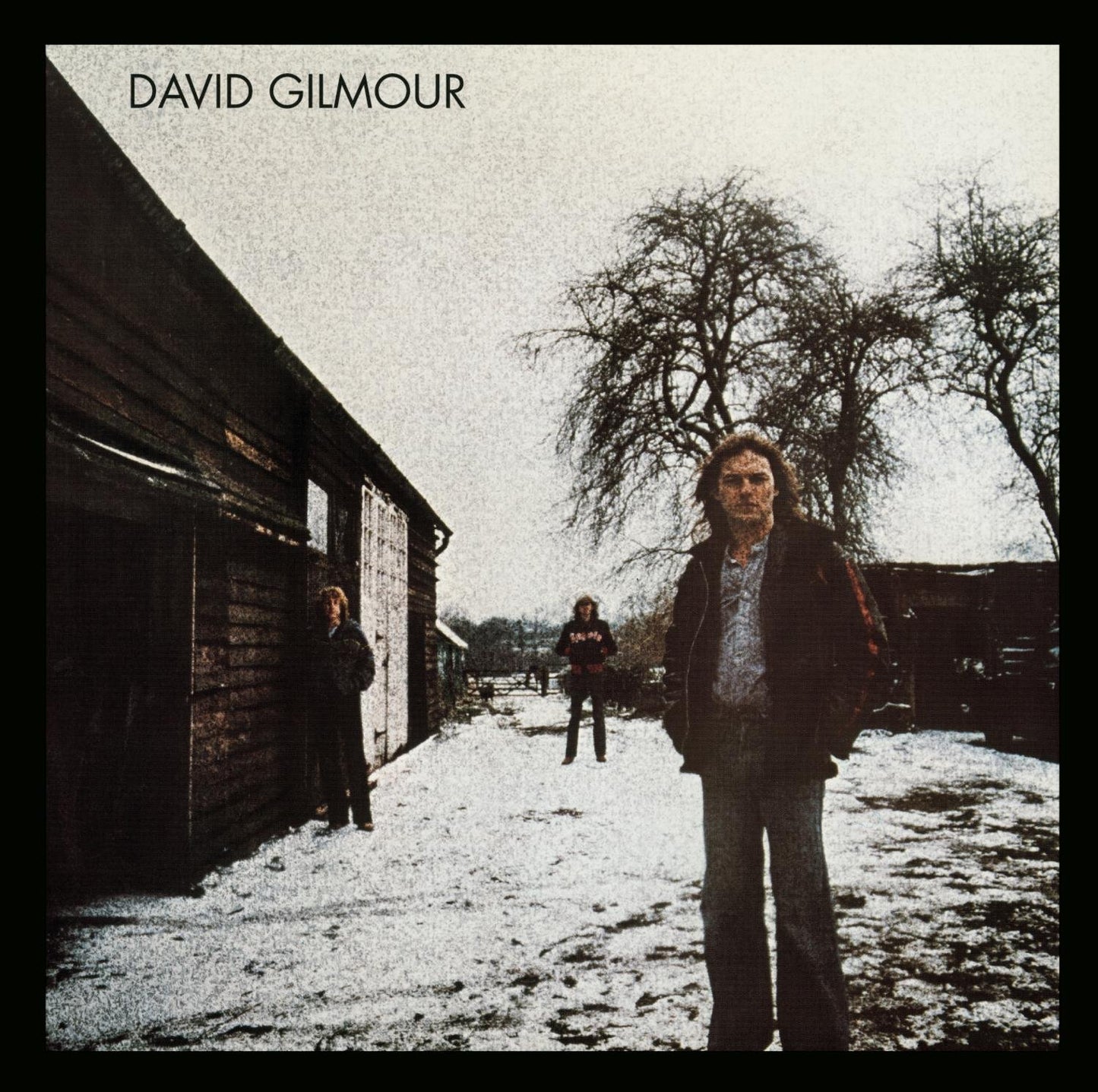 DAVID GILMOUR