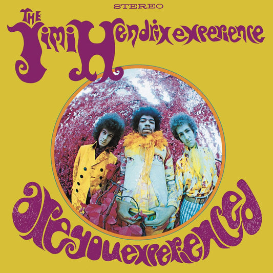 ARE YOU EXPERIENCED