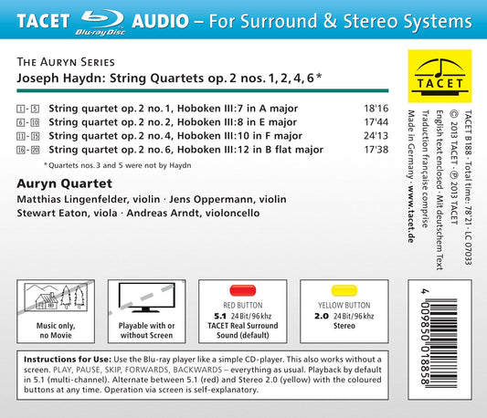 V 2: AURYN'S HAYDN