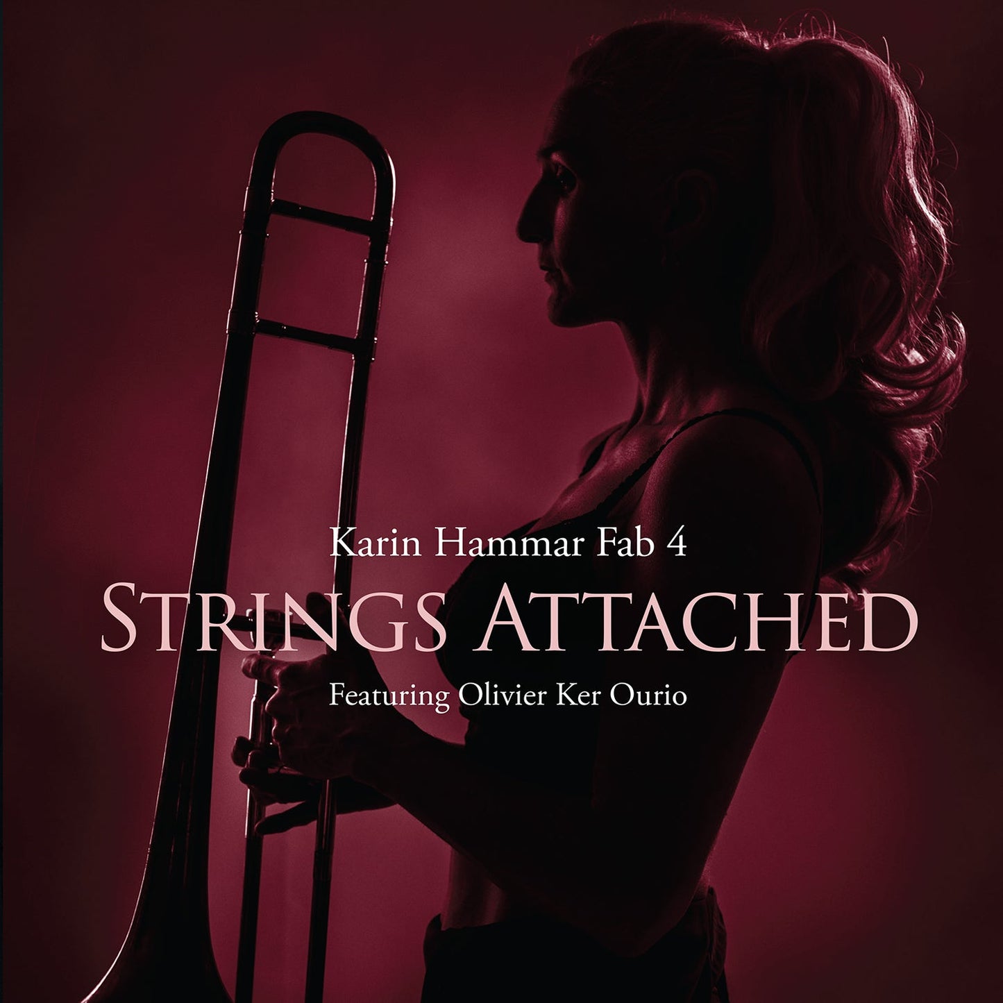 Strings Attached  Karin Hammar Fab 4