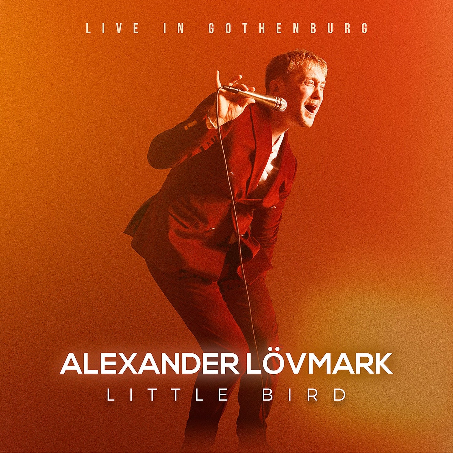 Little Bird – Live In Gothenburg