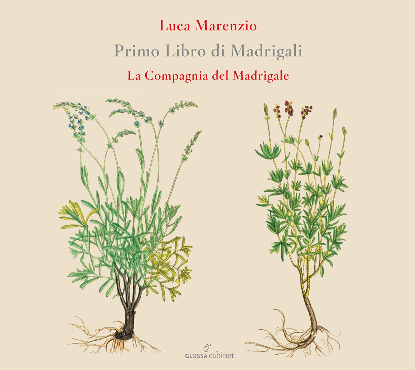 Marenzio: Primo Libro di Madrigali