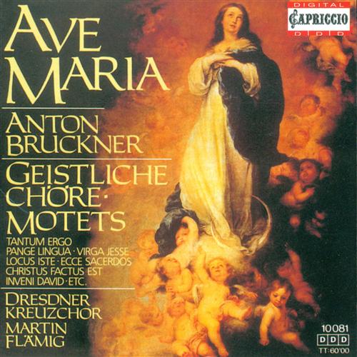 Bruckner, A.: Motets