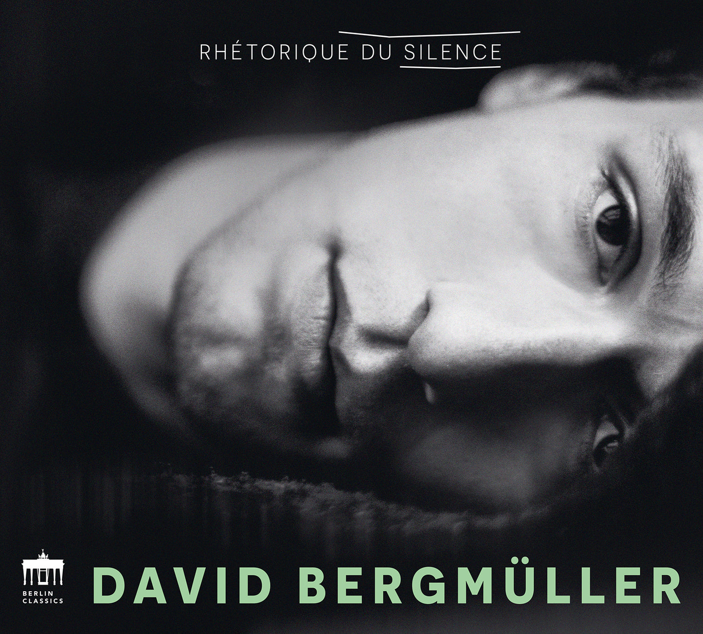 Bergmueller, Dufaux, Gallot: Rhetorique Du Silence
