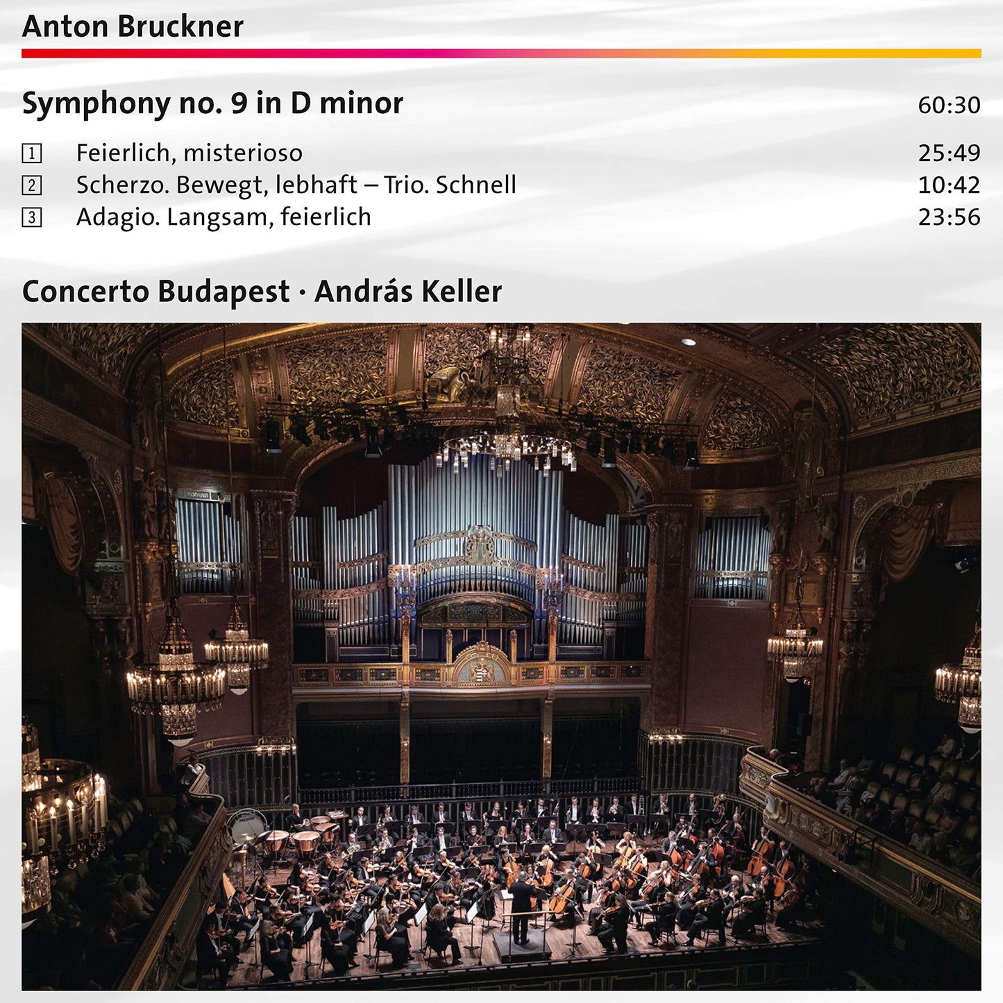 SYMPHONY NO. 9 IN D MINOR