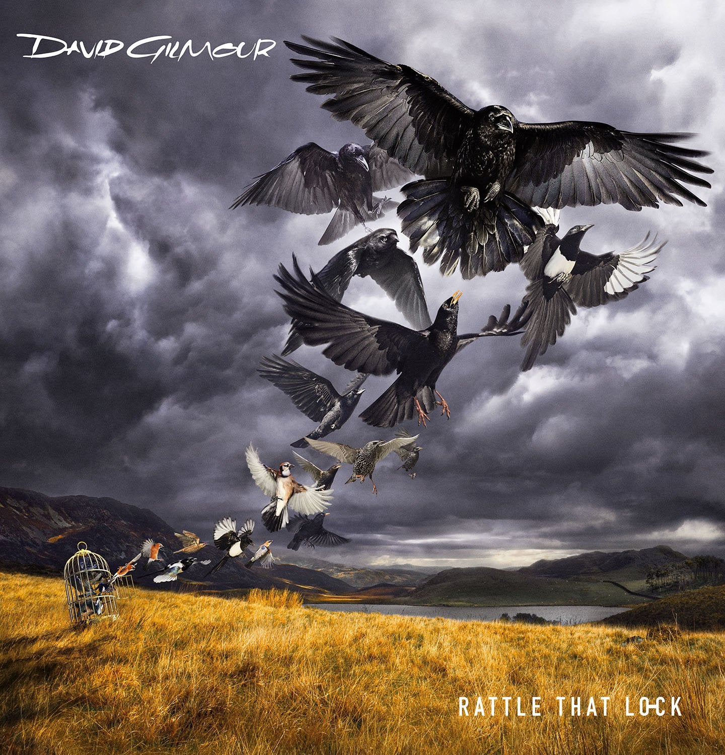 RATTLE THAT LOCK (CD/DVD DELUX