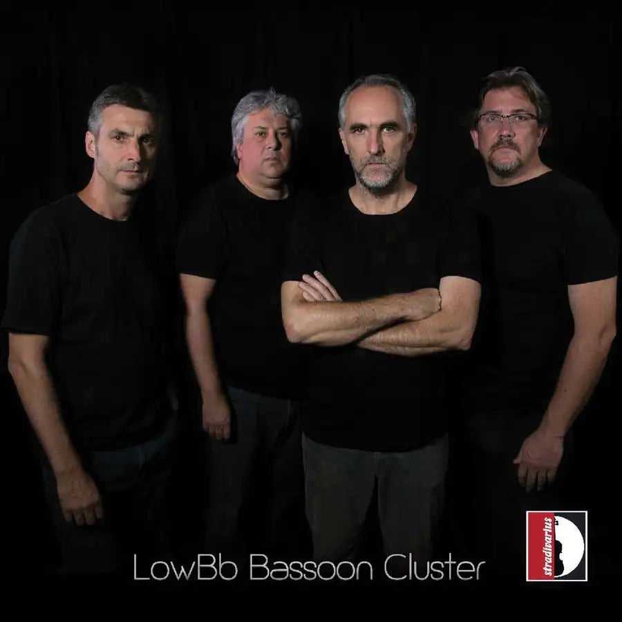 LowB-Flat Bassoon Cluster / Giorgio Mandolesi