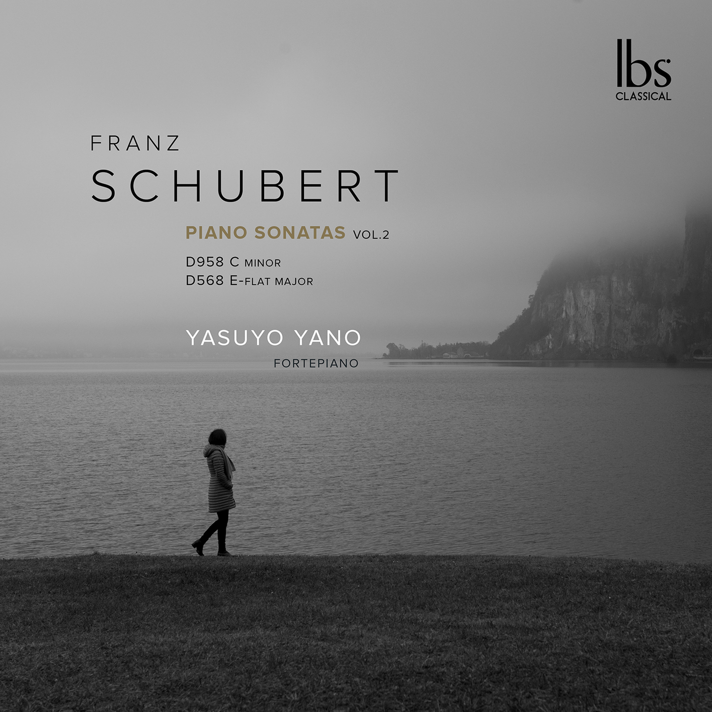 Schubert: Fortepiano Sonatas